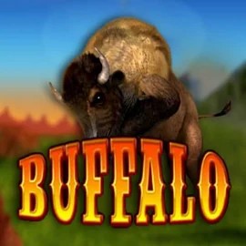 Play Buffalo Bingo slot by MGA Games on robocats.fi